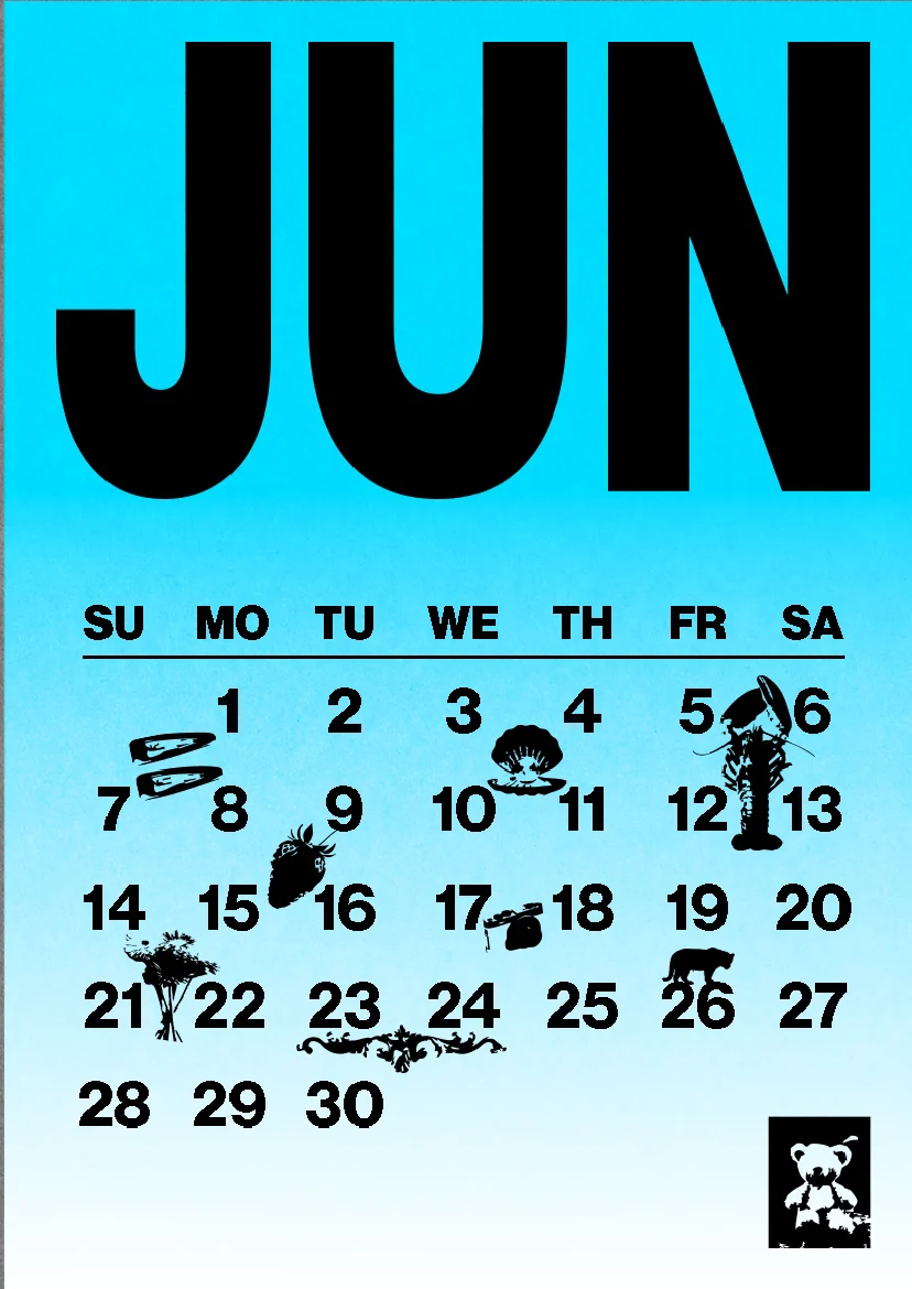 DEBRIS 2026 pocket calendar — June